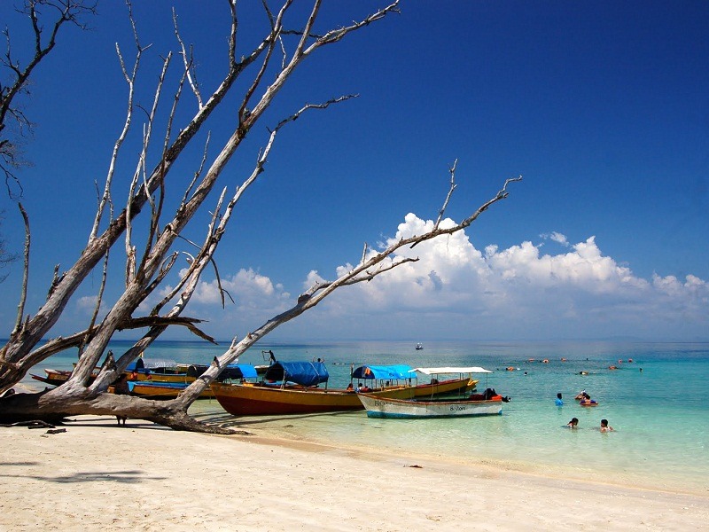 Andaman tour packages